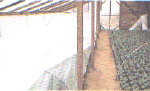 slide0001_image019.png (44545 bytes)
